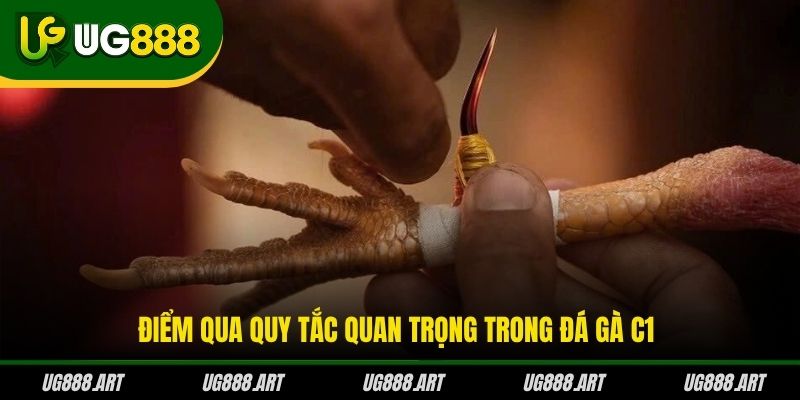 Điểm qua quy tắc quan trọng trong đá gà C1 Điểm qua quy tắc quan trọng trong đá gà C1