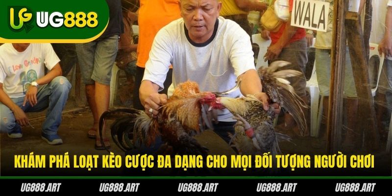 Khám phá loạt kèo cược đa dạng cho mọi đối tượng người chơi Khám phá loạt kèo cược đa dạng cho mọi đối tượng người chơi